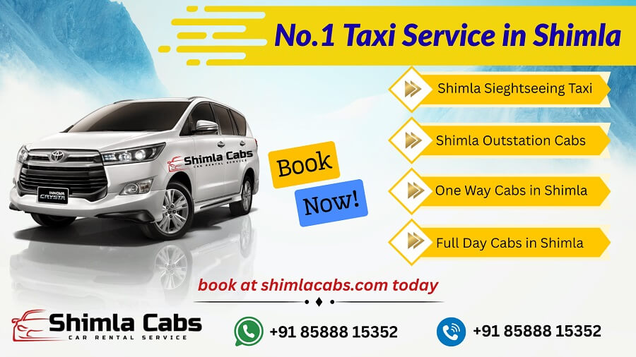 Best Cab/Taxi Service Company in Shimla